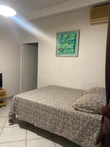 帕皮提Bungalow Pamatai Sky的卧室配有一张床,墙上挂有绘画作品
