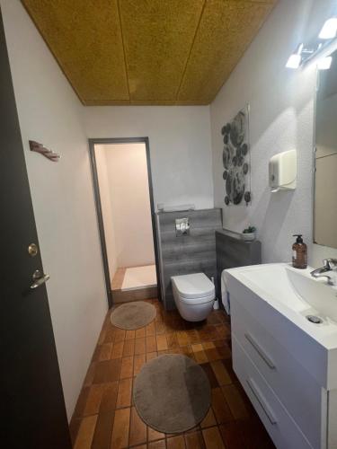 HlíðarendiGodaland Guesthouse and Glamping的一间带卫生间和水槽的浴室