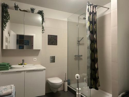 哈纳弗约德尔Eskivellir 11的带淋浴、卫生间和盥洗盆的浴室