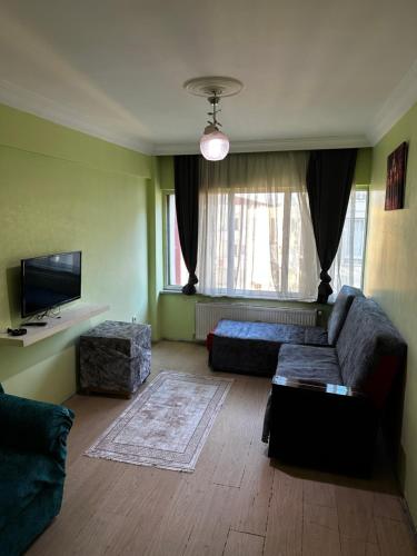 伯萨Uraz Apart的带沙发和电视的客厅