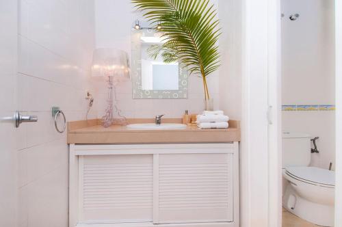 梅罗那瑞斯Meloneras Suites的浴室设有水槽、镜子和植物