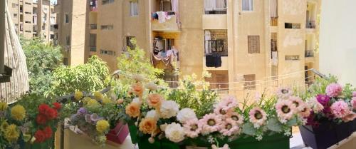 Sheikh Zayed2 bedroom, 4 beds, apartment in El sheikh Zayed Cairo Egypt的建筑阳台上的一束鲜花