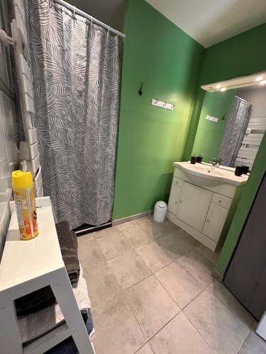 Cré-sur-LoirGîte la grande racinaie的绿色浴室设有淋浴和水槽