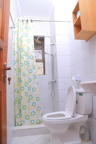 姆巴拉拉The Junction Apartments的一间带卫生间和淋浴的浴室