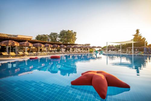 杜布罗夫尼克Valamar Tirena Hotel的游泳池,游泳池里设有红色的枕头