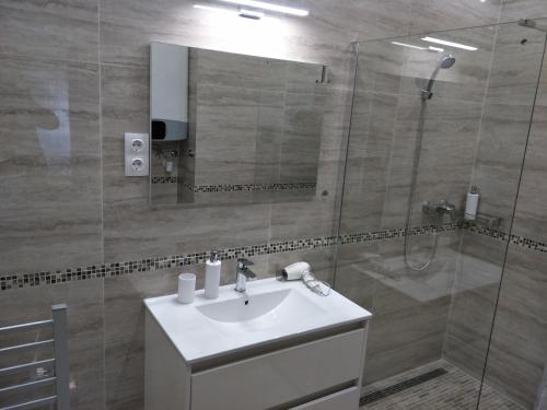 克塞洛Tower Apartman Kőszeg的浴室配有盥洗盆和带镜子的淋浴