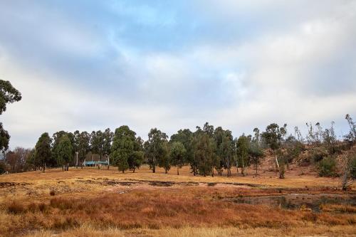 安德伯格Bergview Farm Cottages by First Private Stays的远处有树木和房子的田野