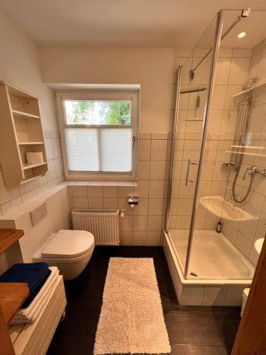 格拉尔-米里茨Ferienwohnung Gänseweg的浴室配有卫生间、淋浴和盥洗盆。