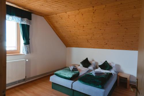 高塔特拉山Jambrichova chata的客厅配有带绿色枕头的沙发