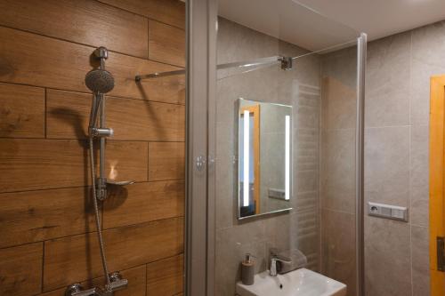高塔特拉山Jambrichova chata的带淋浴、盥洗盆和镜子的浴室