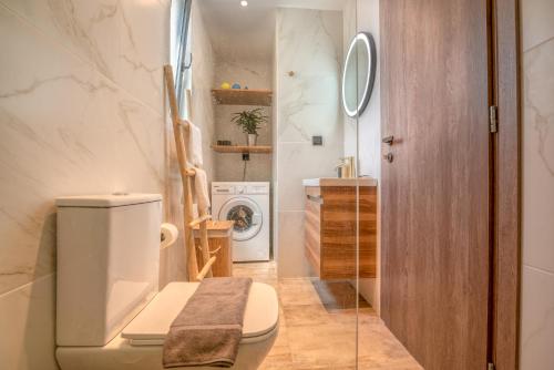 基萨莫斯Cavos Luxury Apartments的一间带卫生间和洗衣机的浴室
