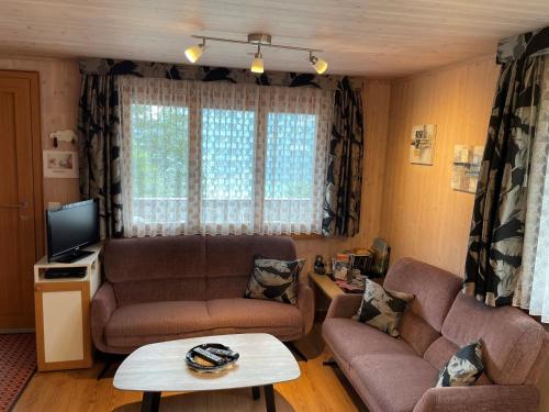 Oberwilen吉斯维尔马格里斯格罗斯特尔度假屋的客厅配有两张沙发和一台电视机