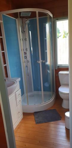 圣路易斯Ti caze des papayes的带淋浴、盥洗盆和卫生间的浴室