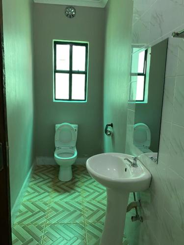 GilgilAcacia Gardens Gilgil的绿色浴室设有卫生间和水槽
