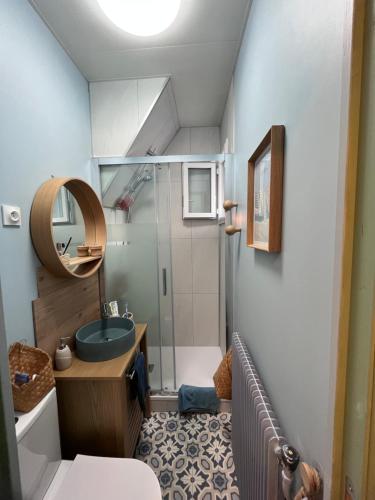 滨海贝尔克Appt lumineux - 2 chambres - Mer et commerces的一间带水槽和淋浴的小浴室