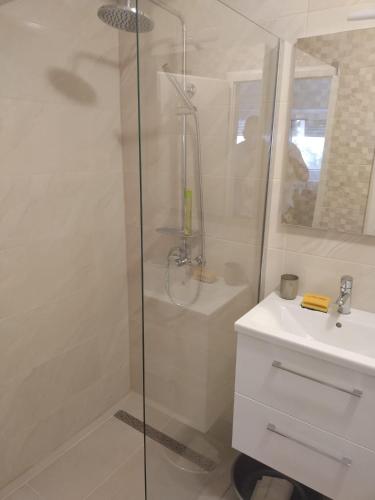 格拉达茨Apartments Miličević的带淋浴和盥洗盆的白色浴室