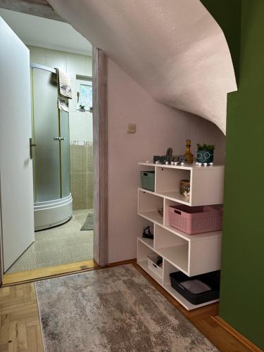 萨拉热窝Villa Mercurii的浴室设有绿色的墙壁、白色的架子和淋浴。