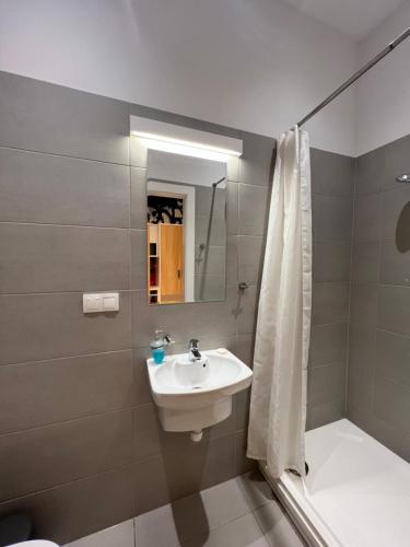 卡托维兹Mariacka 13 Wygodne Spanie P6 Centrum的一间带水槽、淋浴和卫生间的浴室