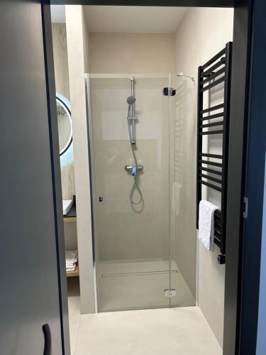 尼苏利采Lago Apartamenty Domki的浴室里设有玻璃门淋浴