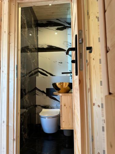 辛安诺泽蒂Roomflacja Bałtyk的一间带卫生间和水槽的浴室