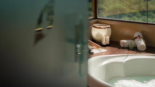 伊瓜苏港大克鲁塞罗酒店的浴室水槽,花瓶旁边是窗户