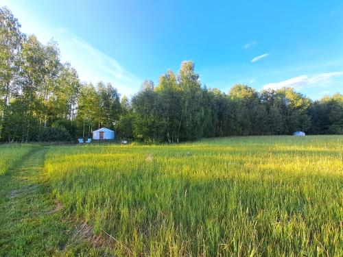EikažiGlamping Yurt Purvs at Kleja Quiet Camping的一片高大的草场,后面有白色谷仓