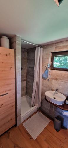 GorušenjakMini Hill - Tiny House的浴室配有卫生间、盥洗盆和淋浴。