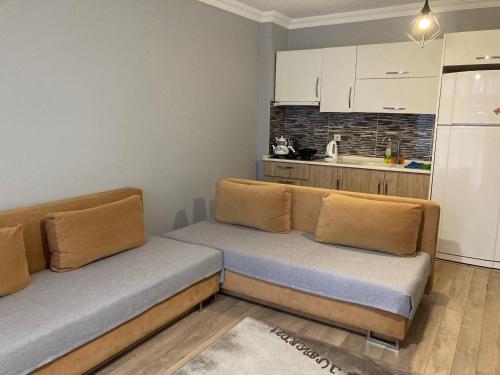 特拉布宗Rüya apart的带沙发的客厅和厨房