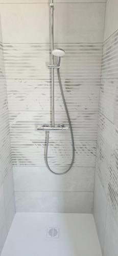 贝尔热拉克Au séchoir à Tabac的浴室内配有淋浴和头顶淋浴