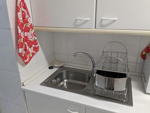 AmésApartamento Anduriña的厨房水槽旁设有碗碟干燥架