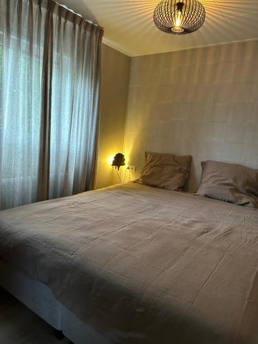 BalkbrugChalet de Blauwe regen的一间卧室配有一张大床和一个吊灯。