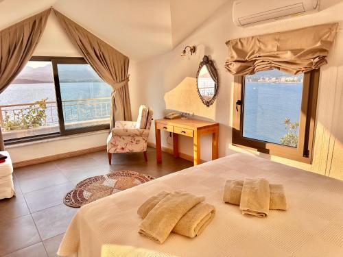 费特希耶伊思索瓦利岛酒店的卧室配有一张床、一张书桌和窗户。
