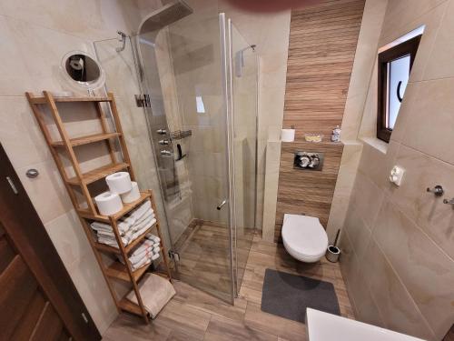 卢托维斯卡Domek w Bieszczadach的一间带卫生间和玻璃淋浴间的浴室