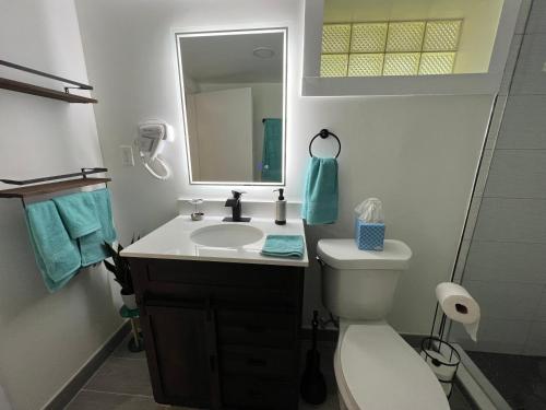克利夫兰Trendy in Tremont, CLE (Lower)的一间带水槽、卫生间和镜子的浴室