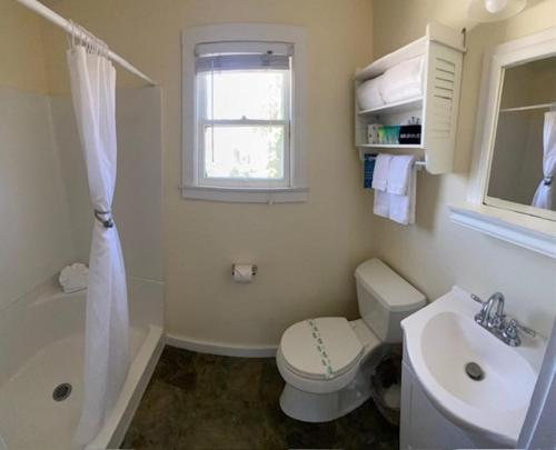 圣地亚哥切诺基洛奇住宿加早餐旅馆的一间带卫生间、水槽和窗户的浴室