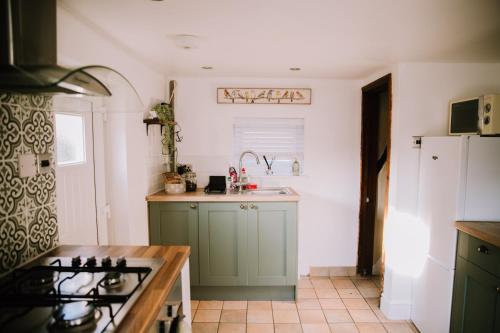 滨海凯斯特Pebbles Cottage的厨房配有绿色橱柜和水槽