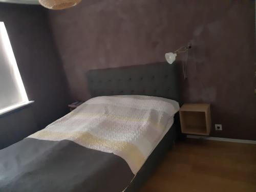 雷克雅未克Eiðistorg apt的一间卧室配有一张床铺,床上铺有白色毯子
