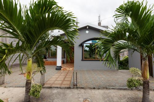 巴克里索莫雷诺港Tropical Paradise, Galápagos的两棵棕榈树在房子前面