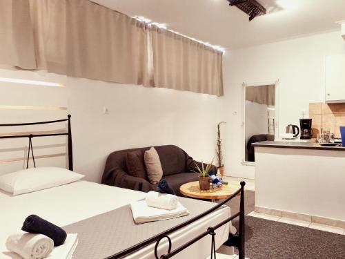 拉里萨Studio V3st & Parking的一间卧室配有一张床和一个沙发