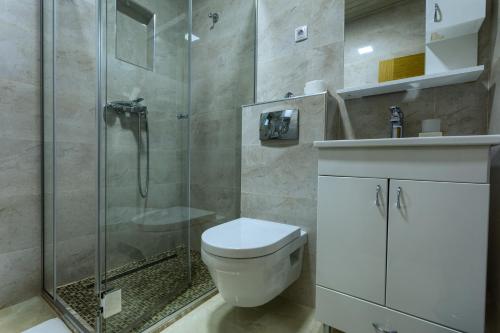 兹拉蒂博尔Apartment Vila Simovic的一间带卫生间和玻璃淋浴间的浴室