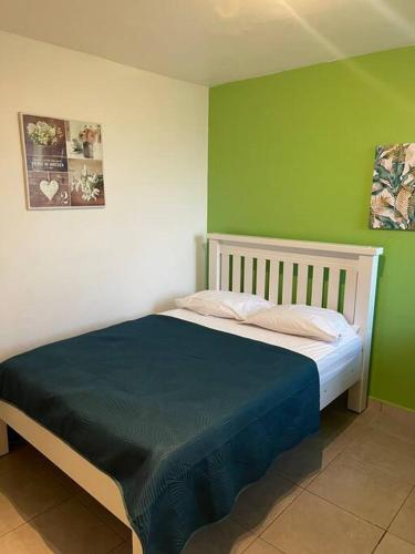 萨莱比梅Appart charmant - Lumineux的绿色墙壁间的一张床位