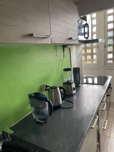 萨莱比梅Appart charmant - Lumineux的绿色墙壁上带两台电器的厨房台