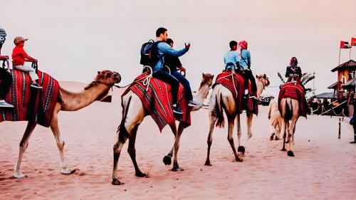 斋沙默尔Serendipity desert Camp in Thar Desert的一群在沙漠中骑马的人