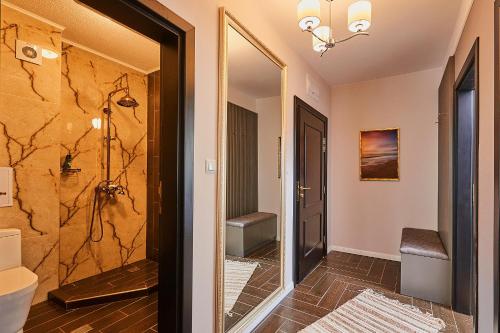 圣弗拉斯Florance Paris Luxury Apartments的一间带步入式淋浴间和镜子的浴室