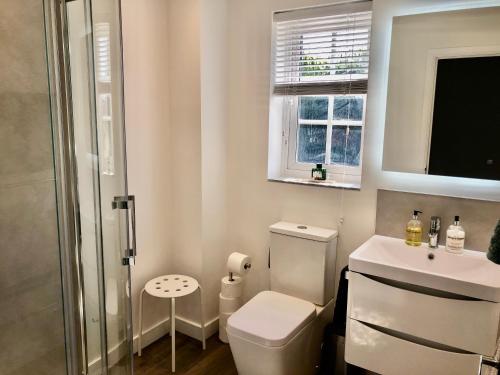 萨克斯曼德姆Chez Ana的白色的浴室设有卫生间和水槽。