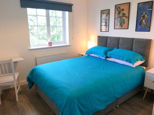 萨克斯曼德姆Chez Ana的一间卧室配有一张带蓝色床单的床和一扇窗户。
