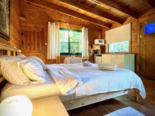 埃米瑞姆Adventure - חוויה的小木屋内一间卧室,配有一张大床
