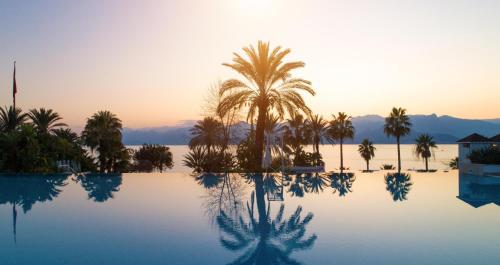 安塔利亚阿克拉酒店的棕榈树和日落的游泳池