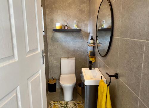 波罗瓜尼Lemon Ivy Guesthouse的一间带卫生间、水槽和镜子的浴室