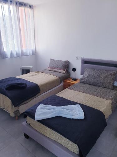 尼斯new private room ,sea view, near airport 5 min, train 3 min and tram on site, beach 7 min, 2 showers and 2 toilets. Neuf , chambre privative, vue mer, proche aéroport 5 min , train 3 min et tramway sur place, plage 7 min, 2 douches et 2 wc.的两张睡床彼此相邻,位于一个房间里